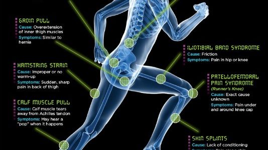 Steenkamp Physio